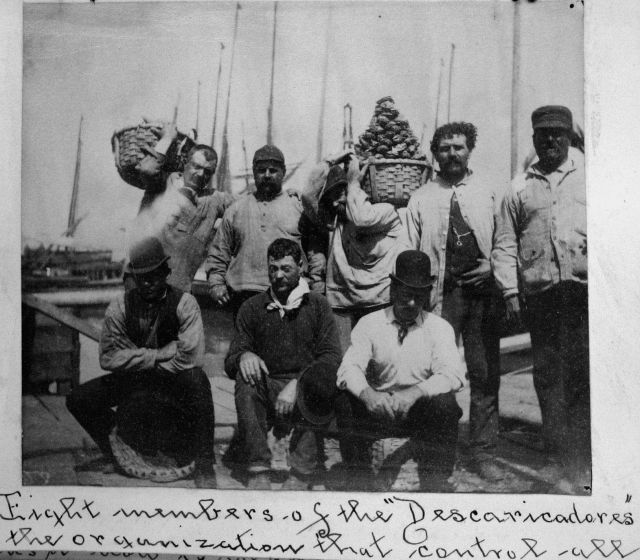 Eight members of the 