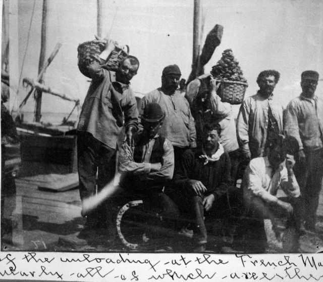 Eight members of the 