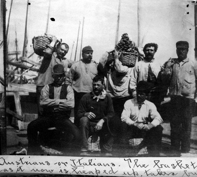 Eight members of the 