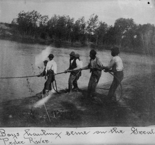 Boys hauling seine on the Great Pedee River, SC. Picture