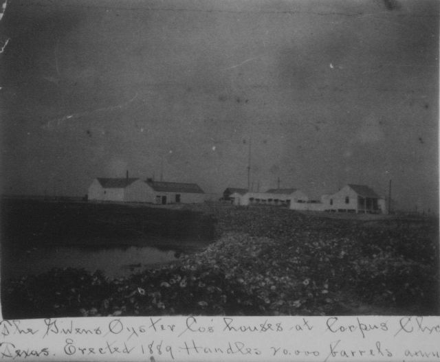 The Givens oyster houses at Corpus Christi, TX, erected 1889, handles 10,000 barrels annually. Picture