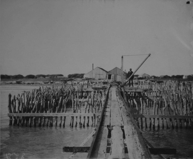 Fish holding pen. Picture