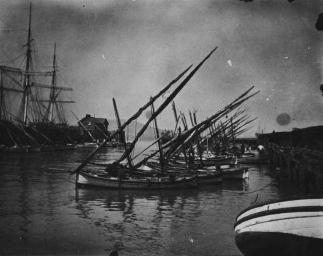 Lateen-rigged fishing vessels. Picture