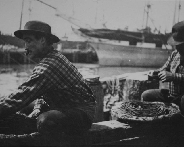 Baiting long-line, unidentified. Picture