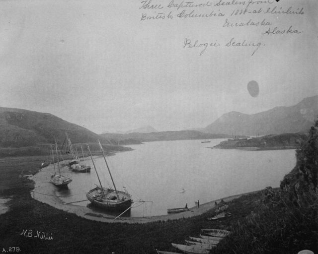 Three captured sealers from British Columbia 1888 at Unalaska, Alaska, that were engaged in illegal pelagic sealing. Picture