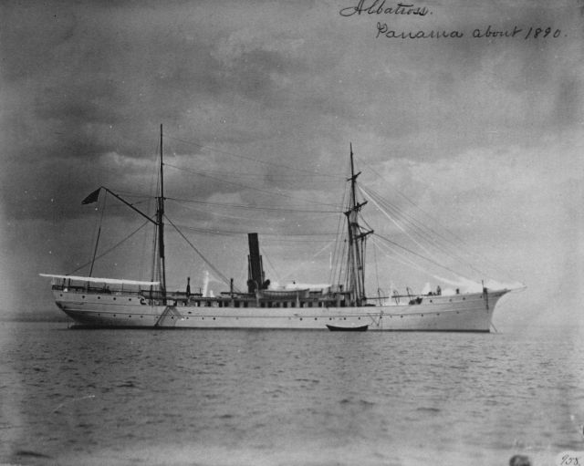 Albatross at Panama about 1890. Picture