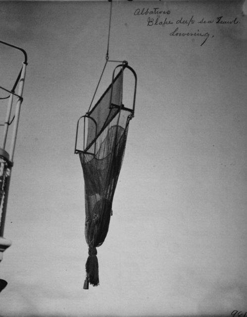 Albatross, Blake deep sea trawl, lowering. Picture