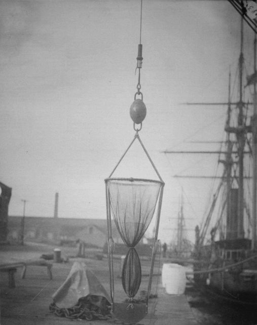 Albatross trawl net. Picture