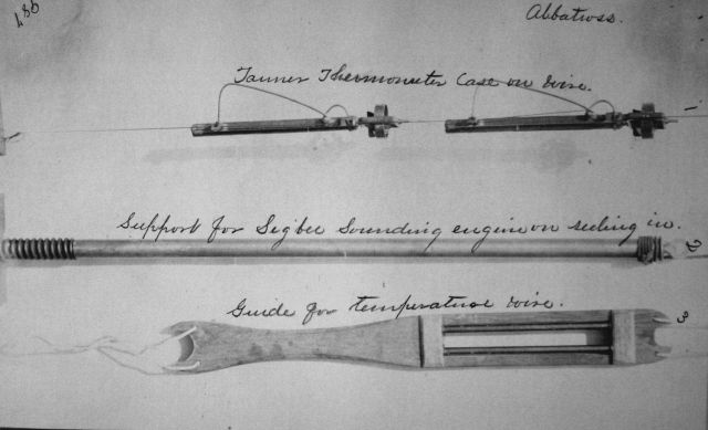 Albatross, Tanner thermometer case on wire Picture