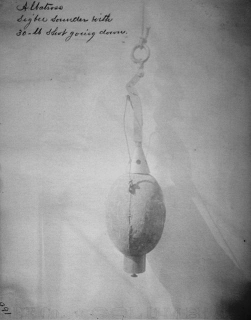 Albatross, Sigbee sounder with 30-lb Picture