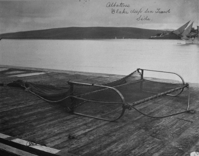 Albatross, Blake deep sea trawl, side view. Picture