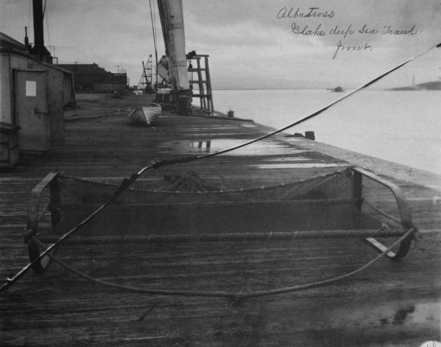 Albatross, Blake deep sea trawl, front view. Picture