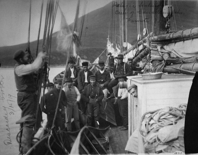 Pelagic sealing, Canadian schooner Favorite, 1894. Picture