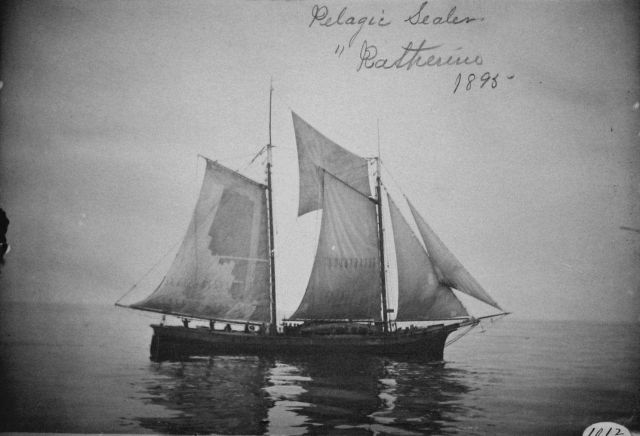 Pelagic sealer Ratherine, 1895. Picture
