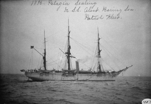 Pelagic sealer, Bering Sea, boarded by Albatross boat, collecting statistics, 1895. Picture