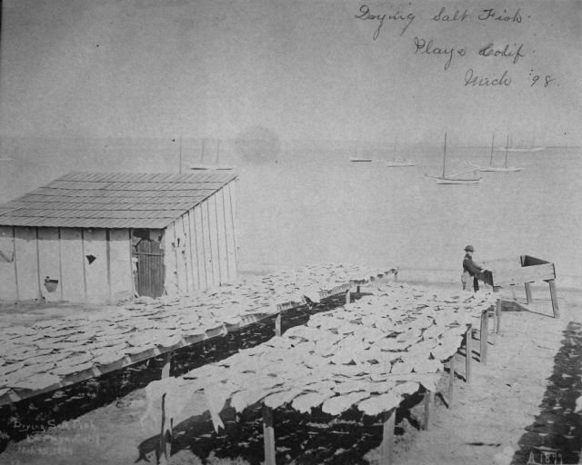 Drying salt fish, Playa, CA ,1898. Picture