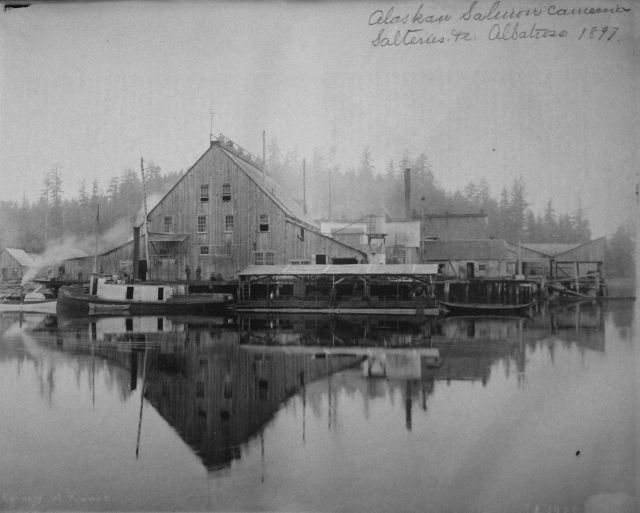 Alaskan salmon canneries, salteries, etc Picture