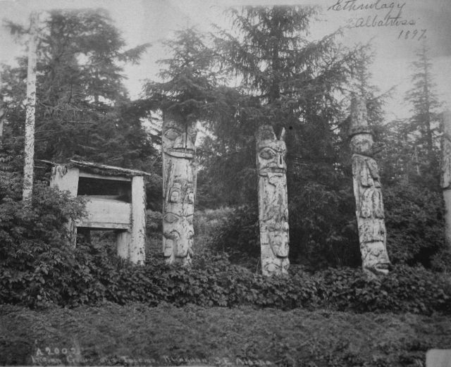 Ethnology, Albatross, 1897 Picture