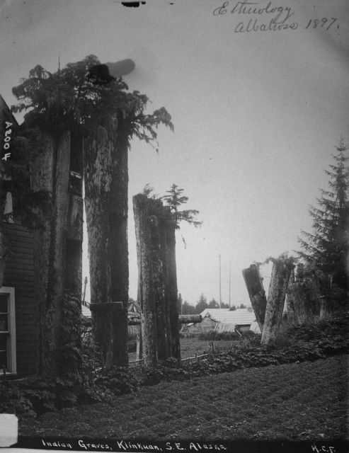 Ethnology, Albatross, 1897 Picture