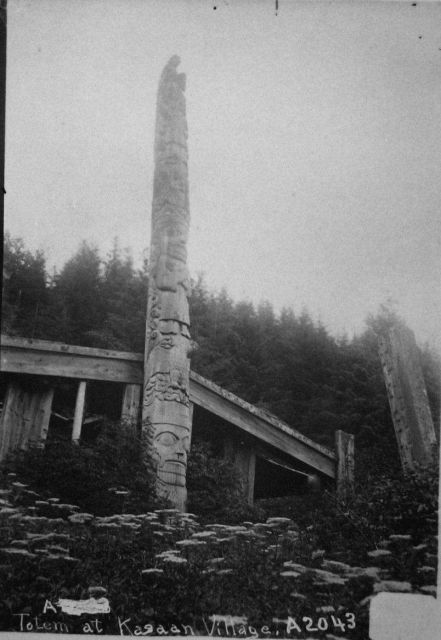 Ethnology, Albatross, 1897. Picture