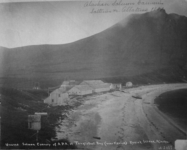 Unused salmon cannery of A.P.A Picture