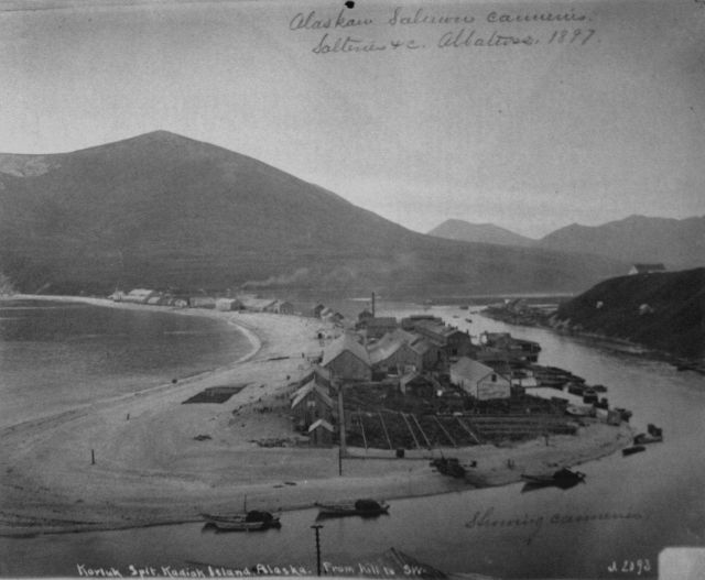 Karluk Spit, Kodiak Island, AK, from hill to SW Picture