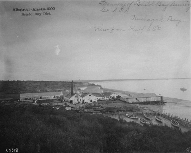 Albatross, AK, 1900, Bristol Bay district, Cannery of Bristol Bay Canning Co Picture