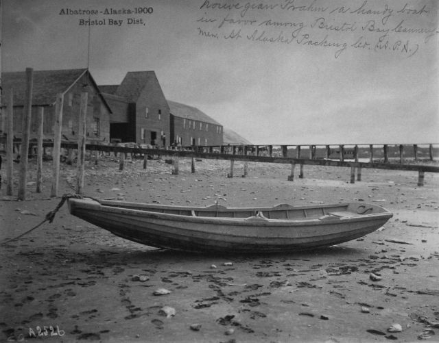 Albatross, AK, 1900, Bristol Bay district, Norwegian prahm, a handy boat in favor among Bristol Bay cannery at Alaska Packing Co Picture