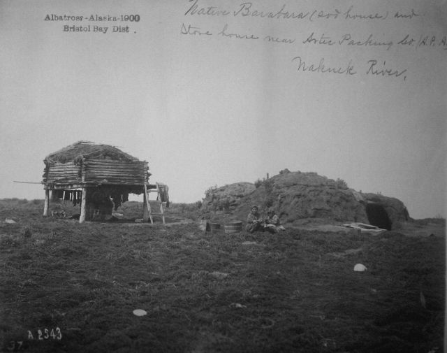 Albatross, AK, 1900, Bristol Bay district, native barabara (sod house) and stone house near Artic Packing Co Picture