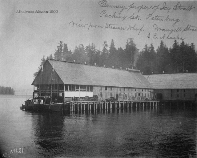 Albatross, AK, 1900, cannery of Icy Strait Packing Co., Petersburg, view from steamer wharf, Wrangell Strait. Picture