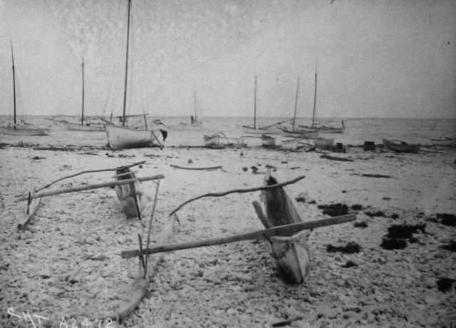 Pearl fisheries, Albatross, South Seas, 1900, pearl diving vessels. Picture