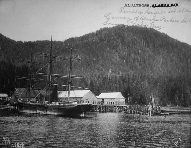 Albatross, AK, 1901, Revilla Gigedo Isd., southeast Alaska, cannery of Alaska Packers Assn, Naha Bay. Picture