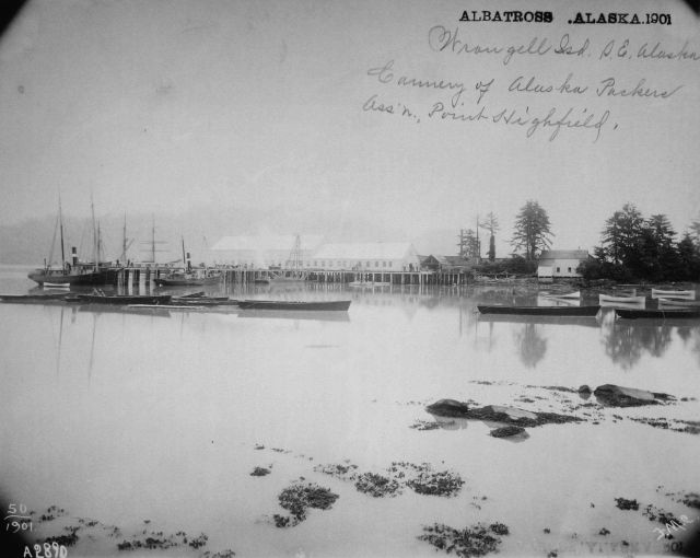 Albatross, AK, 1901, Wrangell Island, southeast Alaska, cannery of Alaska Packers Assn., Point Highfield. Picture