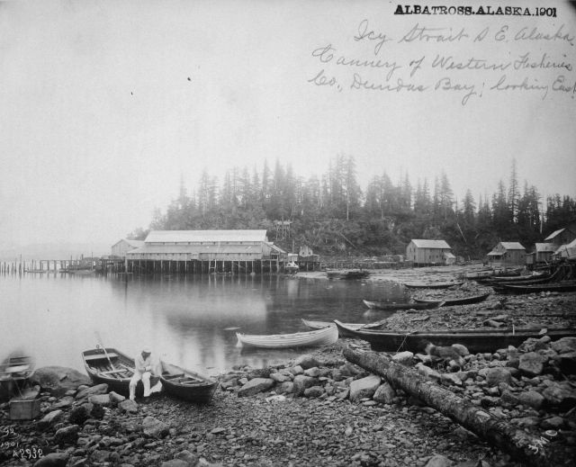 Albatross, AK, 1901, Icy Strait, southeast Alaska, cannery of Western Fisheries Cannery Co., Dundas Bay, looking east. Picture