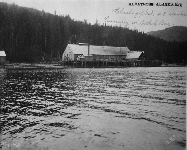 Albatross, AK, 1901, Chichagof Island, cannery at Sitka Bay. Picture