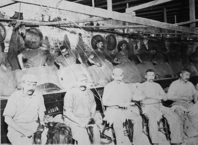 Utilization of the skins of aquatic animals, cutting, combing, and reversing furs. Picture