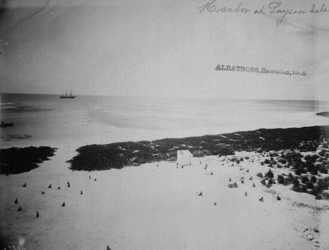 Albatross, HI, 1902, harbor at Laysan Island. Picture