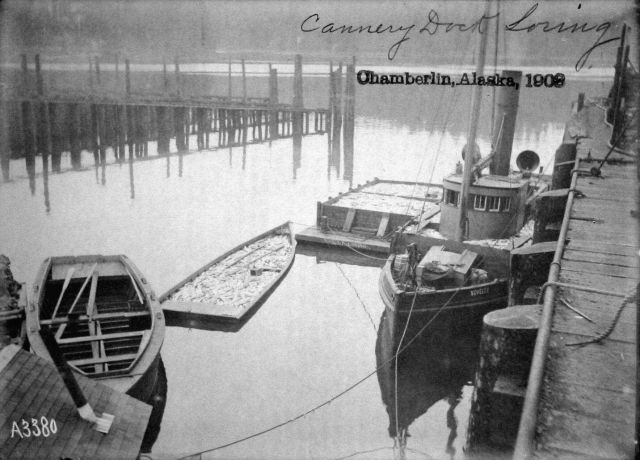 Chamberlin, AK, 1903, cannery dock Loring. Picture