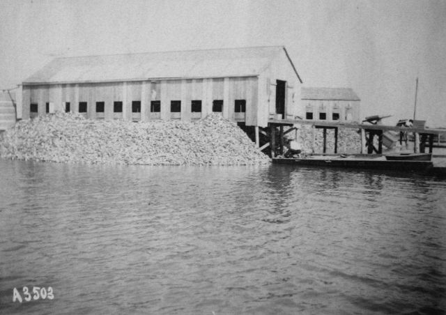 Matagorda Bay, TX, oyster house, 1905. Picture