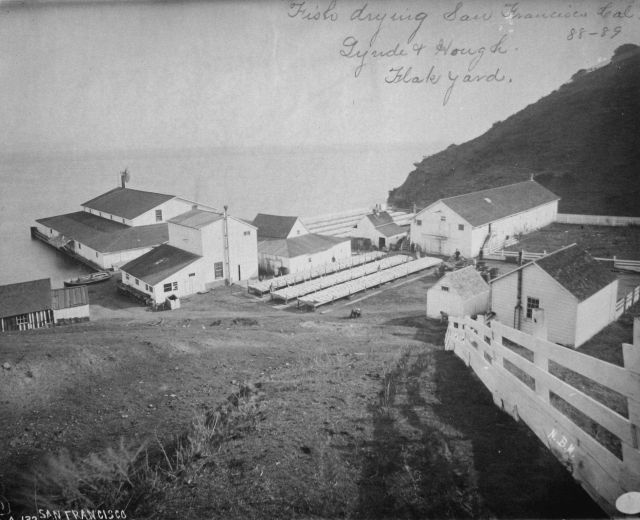 Fish drying, San Francisco, CA, Lynde & Hough, flake yard, 1888-89. Picture