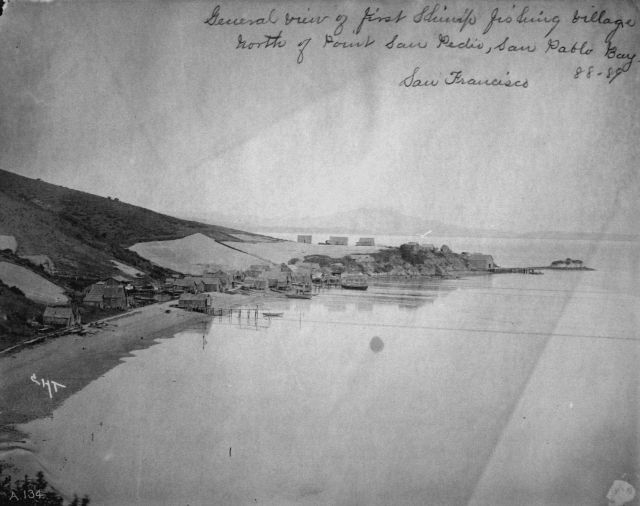 General view of first shrimp fishing village north of Point San Pedro, San Pablo Bay, San Francisco, CA, 1888-89 Picture