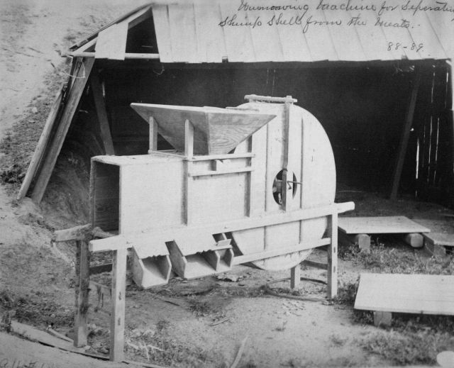 Winnowing machine for separating shrimp shells from the meats, 1888-89. Picture