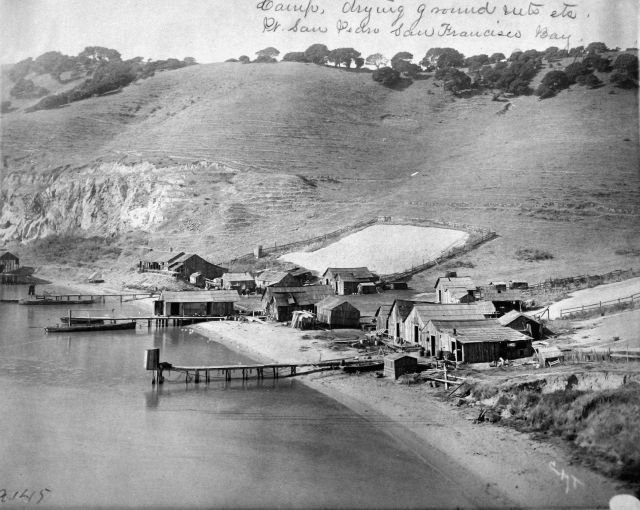 Camp, drying ground, nets, etc., Pt Picture