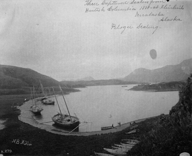 Three captured sealers from British Columbia 1888 at Unalaska, AK, pelagic sealing. Picture