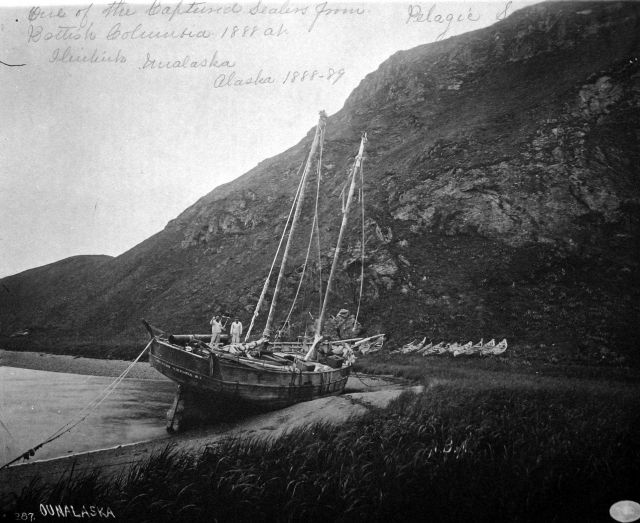 One of the captured sealers from British Columbia 1888 at Iliukiuk, Unalaska, AK, 1888-89. Picture
