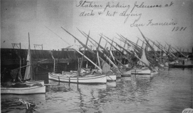 Italian fishing feluccas at dock,and net drying, San Francisco, CA, 1891. Picture