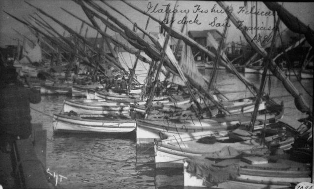 Italian fishing feluccas at dock, San Francisco, CA, 1891. Picture
