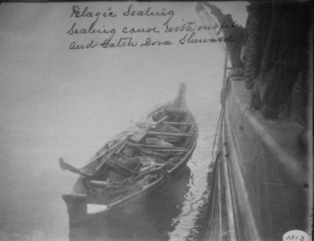 Pelagic sealing, sealing canoe with outfit and catch Dora Sherward. Picture
