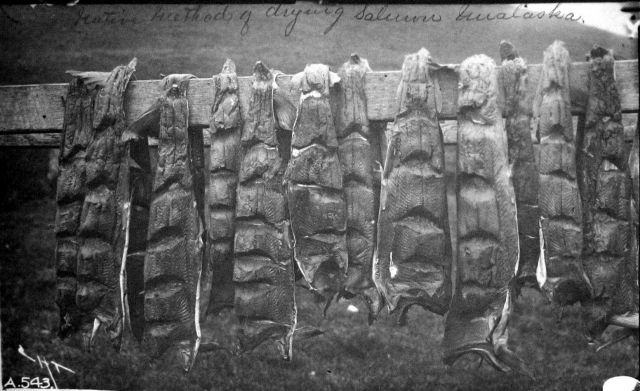 Native method of drying salmon, Unalaska, AK. Picture