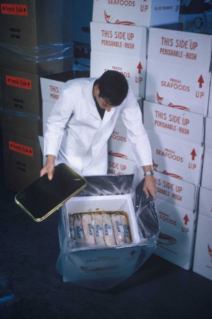A technician is packaging fish fillets in a plastic container for demonstration shipping tests Picture